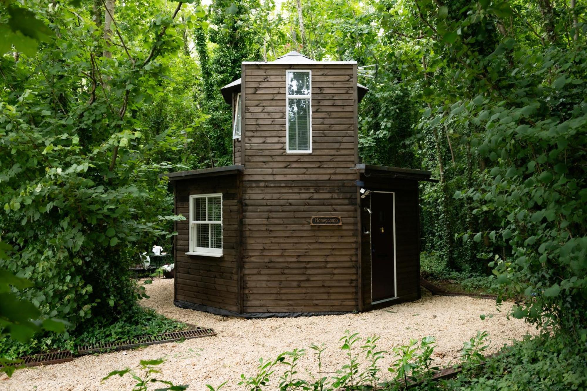 Villa Honeycombe - Treehouse In The Heart Of Dorset Blandford Forum Exterior foto